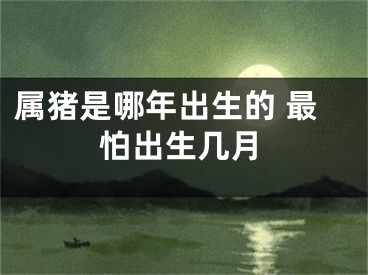 属猪是哪年出生的 最怕出生几月