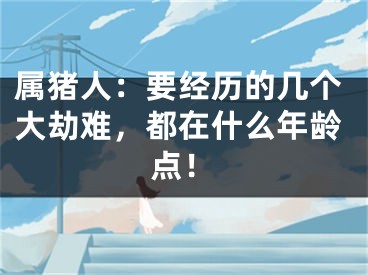 属猪人：要经历的几个大劫难，都在什么年龄点！