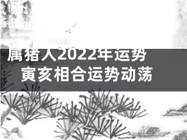 属猪人2022年运势 寅亥相合运势动荡