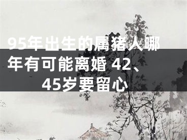 95年出生的属猪人哪年有可能离婚 42、45岁要留心