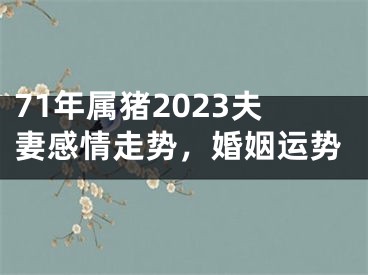 71年属猪2023夫妻感情走势，婚姻运势