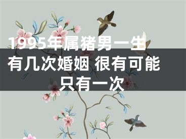 1995年属猪男一生有几次婚姻 很有可能只有一次