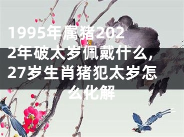 1995年属猪2022年破太岁佩戴什么,27岁生肖猪犯太岁怎么化解