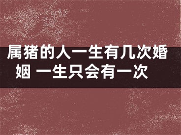 属猪的人一生有几次婚姻 一生只会有一次