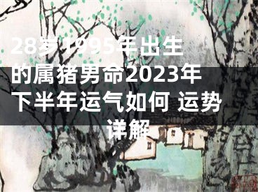 28岁1995年出生的属猪男命2023年下半年运气如何 运势详解