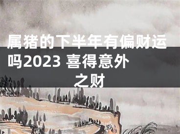 属猪的下半年有偏财运吗2023 喜得意外之财