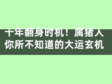 十年翻身时机！属猪人你所不知道的大运玄机