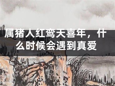 属猪人红鸾天喜年，什么时候会遇到真爱