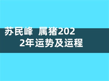 苏民峰  属猪2022年运势及运程