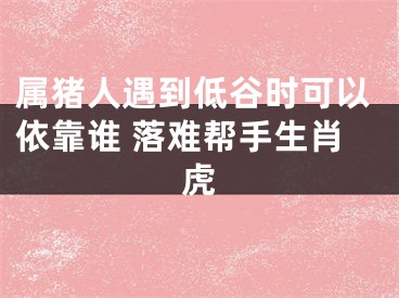 属猪人遇到低谷时可以依靠谁 落难帮手生肖虎