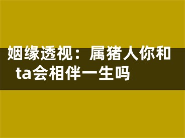 姻缘透视：属猪人你和ta会相伴一生吗 