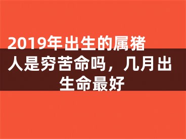 2019年出生的属猪人是穷苦命吗，几月出生命最好