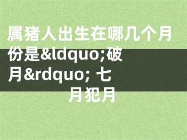 属猪人出生在哪几个月份是&ldquo;破月&rdquo; 七月犯月