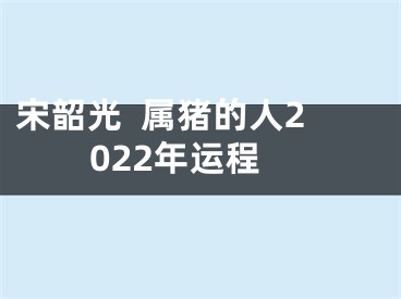 宋韶光  属猪的人2022年运程