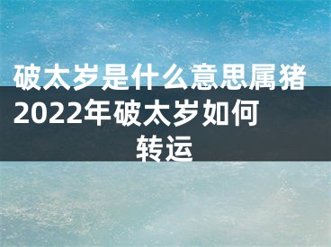 破太岁是什么意思属猪2022年破太岁如何转运