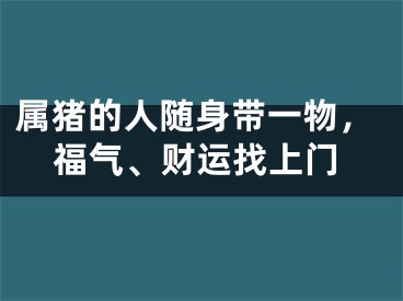 属猪的人随身带一物，福气、财运找上门