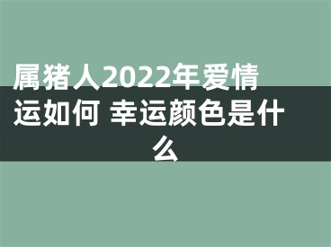 属猪人2022年爱情运如何 幸运颜色是什么