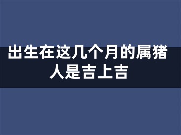 出生在这几个月的属猪人是吉上吉