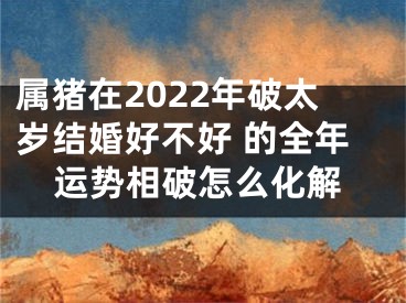 属猪在2022年破太岁结婚好不好 的全年运势相破怎么化解