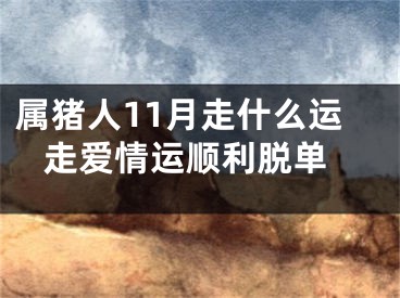 属猪人11月走什么运 走爱情运顺利脱单