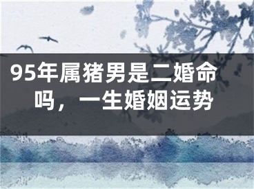 95年属猪男是二婚命吗，一生婚姻运势