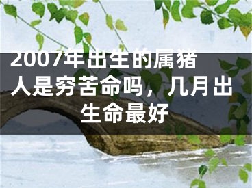 2007年出生的属猪人是穷苦命吗，几月出生命最好