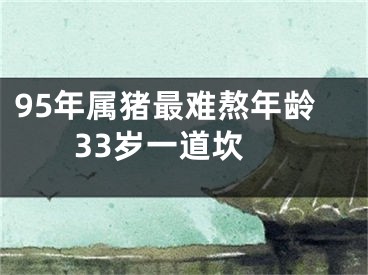 95年属猪最难熬年龄 33岁一道坎