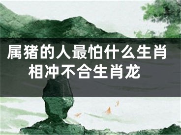 属猪的人最怕什么生肖 相冲不合生肖龙