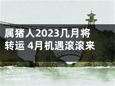 属猪人2023几月将转运 4月机遇滚滚来