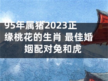 95年属猪2023正缘桃花的生肖 最佳婚姻配对兔和虎