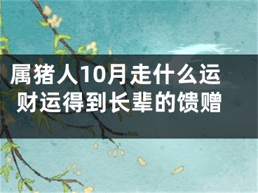 属猪人10月走什么运 财运得到长辈的馈赠