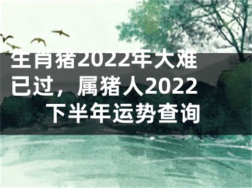 生肖猪2022年大难已过，属猪人2022下半年运势查询