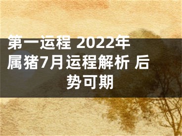 第一运程 2022年属猪7月运程解析 后势可期