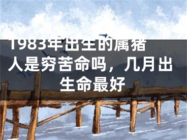 1983年出生的属猪人是穷苦命吗，几月出生命最好