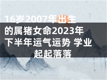 16岁2007年出生的属猪女命2023年下半年运气运势 学业起起落落