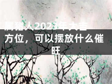 属猪人2023年大吉方位，可以摆放什么催旺