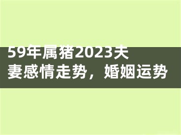 59年属猪2023夫妻感情走势，婚姻运势