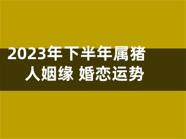 2023年下半年属猪人姻缘 婚恋运势