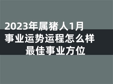 2023年属猪人1月事业运势运程怎么样 最佳事业方位