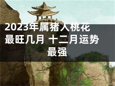 2023年属猪人桃花最旺几月 十二月运势最强