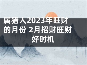 属猪人2023年旺财的月份 2月招财旺财好时机