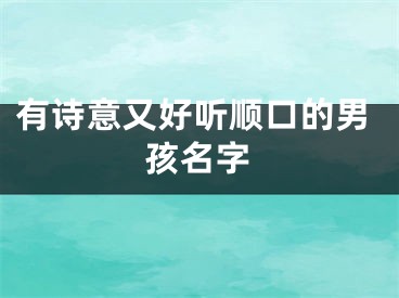 有诗意又好听顺口的男孩名字