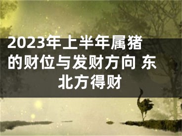 2023年上半年属猪的财位与发财方向 东北方得财