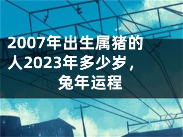 2007年出生属猪的人2023年多少岁，兔年运程