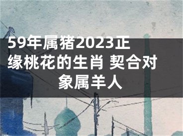 59年属猪2023正缘桃花的生肖 契合对象属羊人