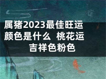 属猪2023最佳旺运颜色是什么  桃花运吉祥色粉色