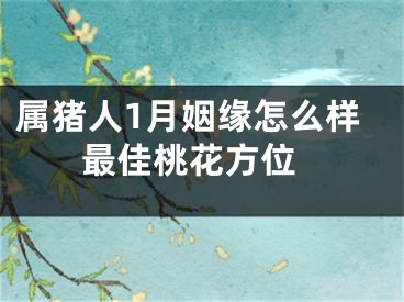 属猪人1月姻缘怎么样 最佳桃花方位