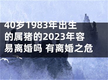 40岁1983年出生的属猪的2023年容易离婚吗 有离婚之危