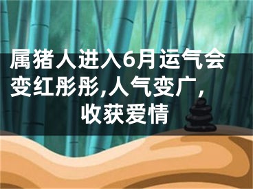 属猪人进入6月运气会变红彤彤,人气变广,收获爱情