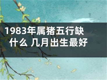 1983年属猪五行缺什么 几月出生最好